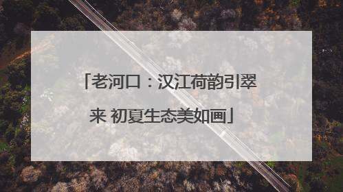 老河口：汉江荷韵引翠来 初夏生态美如画