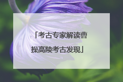 考古专家解读曹操高陵考古发现
