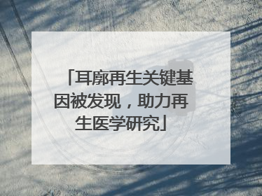 耳廓再生关键基因被发现，助力再生医学研究