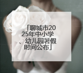 聊城市2025年中小学、幼儿园暑假时间公布