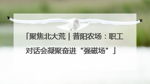 聚焦北大荒｜普阳农场：职工对话会凝聚奋进“强磁场”