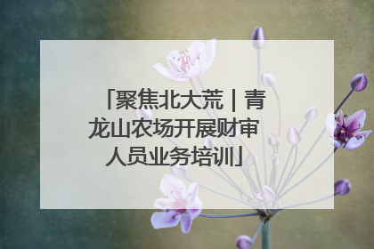 聚焦北大荒｜青龙山农场开展财审人员业务培训