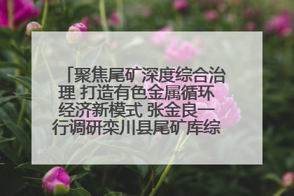 聚焦尾矿深度综合治理 打造有色金属循环经济新模式 张金良一行调研栾川县尾矿库综合治理工作