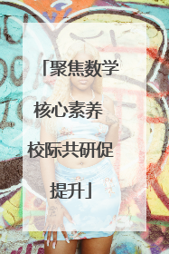 聚焦数学核心素养 校际共研促提升