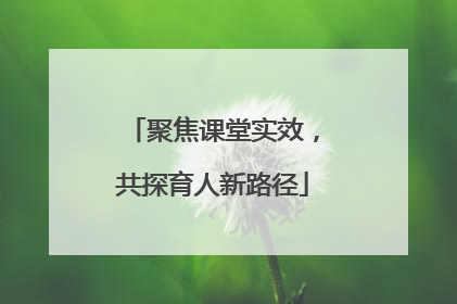 聚焦课堂实效，共探育人新路径