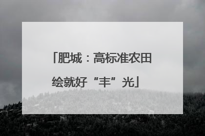 肥城：高标准农田绘就好“丰”光