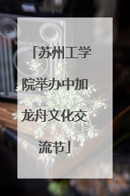 苏州工学院举办中加龙舟文化交流节