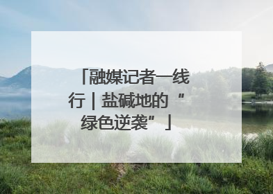 融媒记者一线行｜盐碱地的“绿色逆袭”