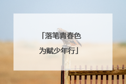 落笔青春色 为赋少年行
