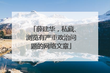 薛建华，私藏、浏览有严重政治问题的网络文章