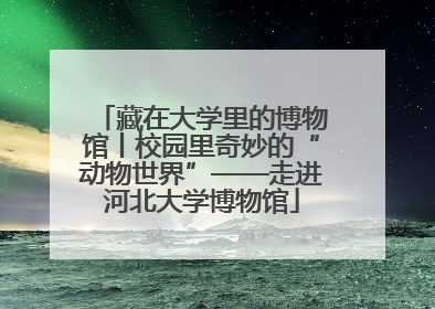 藏在大学里的博物馆丨校园里奇妙的“动物世界”——走进河北大学博物馆