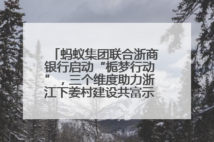 蚂蚁集团联合浙商银行启动“栀梦行动”，三个维度助力浙江下姜村建设共富示范区示范点