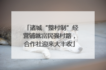 诸城“整村制”经营铺就富民强村路，合作社迎来大丰收