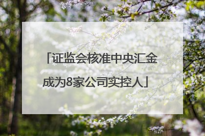 证监会核准中央汇金成为8家公司实控人