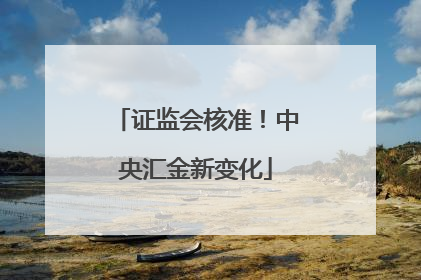 证监会核准！中央汇金新变化