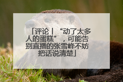评论丨“动了太多人的蛋糕”，可能告别直播的张雪峰不妨把话说清楚