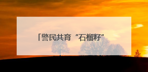 警民共育“石榴籽” 辖区绽放“团结花”