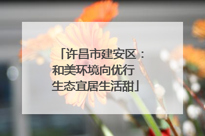 许昌市建安区：和美环境向优行 生态宜居生活甜