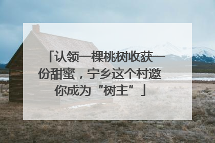认领一棵桃树收获一份甜蜜，宁乡这个村邀你成为“树主”
