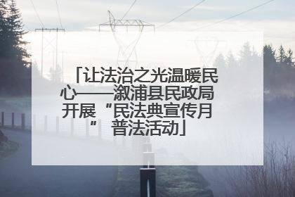 让法治之光温暖民心——溆浦县民政局开展“民法典宣传月” 普法活动