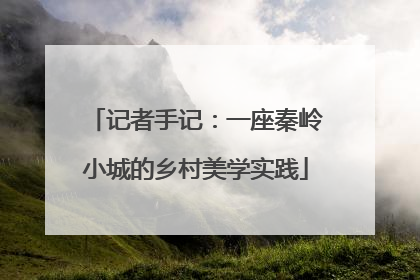 记者手记：一座秦岭小城的乡村美学实践