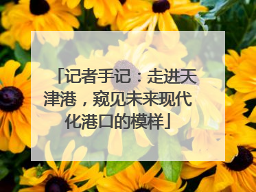 记者手记：走进天津港，窥见未来现代化港口的模样
