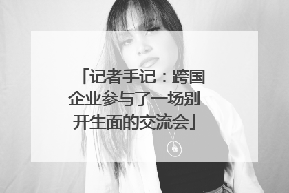 记者手记：跨国企业参与了一场别开生面的交流会
