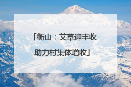 衡山：艾草迎丰收 助力村集体增收