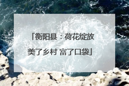 衡阳县：荷花绽放 美了乡村 富了口袋