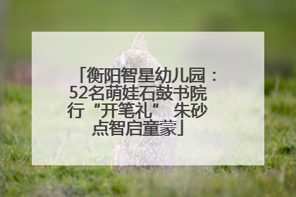 衡阳智星幼儿园：52名萌娃石鼓书院行“开笔礼” 朱砂点智启童蒙