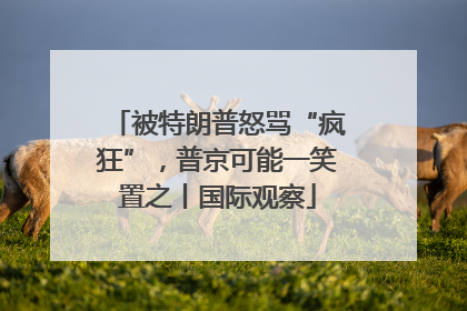 被特朗普怒骂“疯狂”，普京可能一笑置之丨国际观察