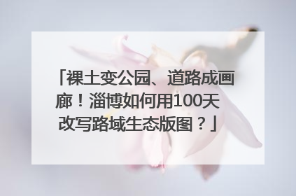 裸土变公园、道路成画廊！淄博如何用100天改写路域生态版图？