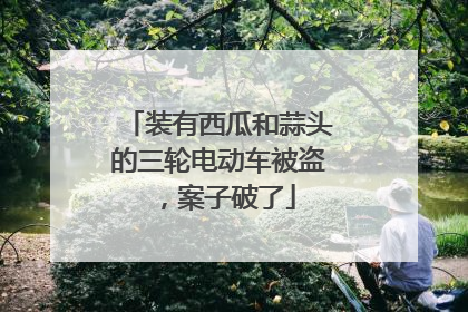 装有西瓜和蒜头的三轮电动车被盗，案子破了
