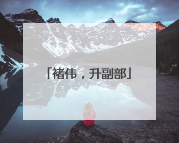 褚伟，升副部