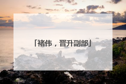 褚伟，晋升副部