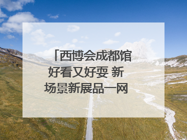 西博会成都馆好看又好耍 新场景新展品一网打尽“成都智造”｜西博视界