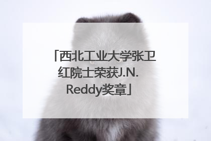 西北工业大学张卫红院士荣获J.N.Reddy奖章