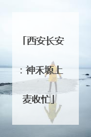 西安长安：神禾塬上麦收忙
