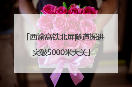 西渝高铁北屏隧道掘进突破5000米大关
