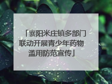 襄阳米庄镇多部门联动开展青少年药物滥用防范宣传
