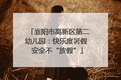 襄阳市高新区第二幼儿园：快乐度暑假 安全不“放假”