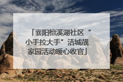 襄阳檀溪湖社区“小手拉大手”洁城靓家园活动暖心收官