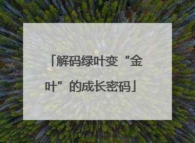 解码绿叶变“金叶”的成长密码