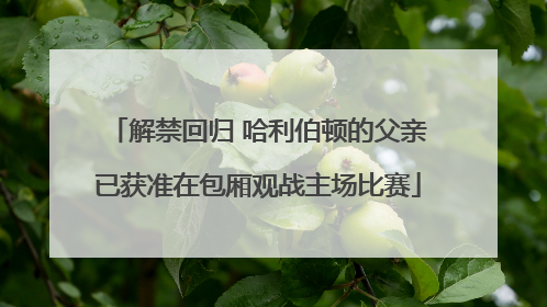 解禁回归 哈利伯顿的父亲已获准在包厢观战主场比赛