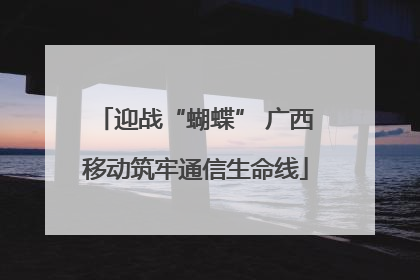 迎战“蝴蝶” 广西移动筑牢通信生命线