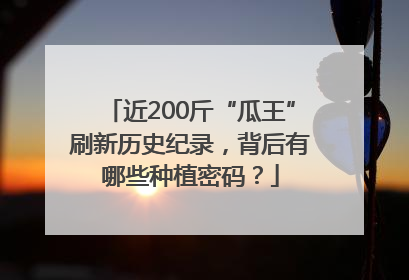 近200斤“瓜王”刷新历史纪录，背后有哪些种植密码？
