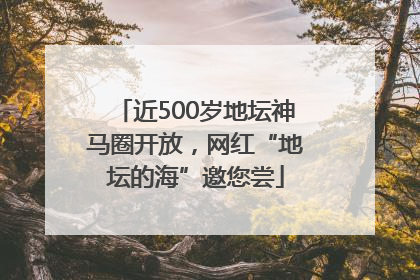 近500岁地坛神马圈开放，网红“地坛的海”邀您尝