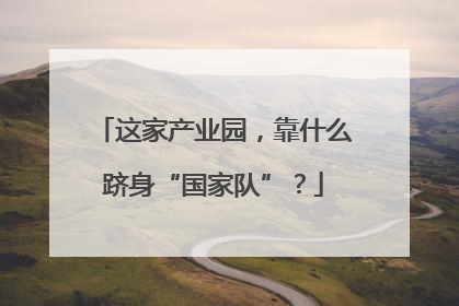 这家产业园，靠什么跻身“国家队”？