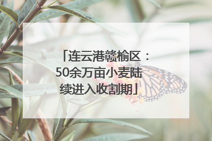 连云港赣榆区：50余万亩小麦陆续进入收割期