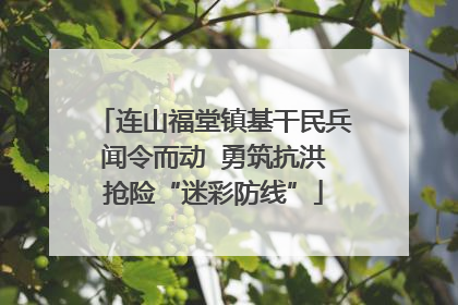 连山福堂镇基干民兵闻令而动  勇筑抗洪抢险“迷彩防线”